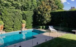 Bay Laurel (Sweet Bay) - Laurus Nobilis - 1 Gallon Pot -Plant Lover House Shop Bay Laurel 7