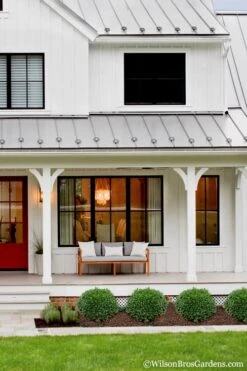 Korean Dwarf Boxwood - Buxus Sinica Var. Insularis 'Nana' - 6 Pack Of 1 Gallon Pots -Plant Lover House Shop Boxwood Korean Dwarf Insularis Nana 4