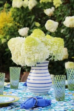 Limelight PeeGee Hydrangea - 3 Gallon Pot -Plant Lover House Shop Hydrangea Limelight 106 1