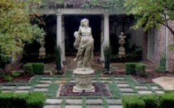 Dwarf Mondo Grass - 36 Pack Of 3.5" Pint Pots -Plant Lover House Shop Picture Mondo Grass Dwarf Pavers