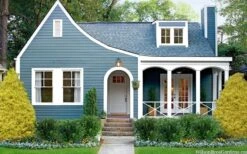 Gold Mop Threadleaf Cypress - 3 Gallon Pot -Plant Lover House Shop chamaecyparis pisifera gold mop cypress 105