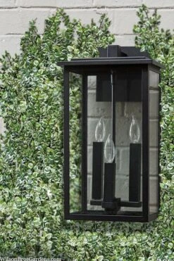 Variegated Creeping Fig - Ficus Pumila 'Variegata' - 6 Pack Of Pint Pots -Plant Lover House Shop ficus pumila variegata creeping fig 102