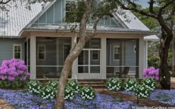 Snow Globe Gardenia - 1 Gallon Pot 13 Snow Globe Gardenia - 1 Gallon Pot -Plant Lover House Shop gardenia jasminoides snow globe 2 1