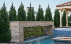 Spartan Juniper - 6 Pack Of 1 Gallon Pots -Plant Lover House Shop juniperus chinensis spartan columnar juniper 40 2