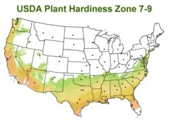 Chisato No Aki Camellia Japonica - 3 Gallon Pot 9 Chisato No Aki Camellia Japonica - 3 Gallon Pot -Plant Lover House Shop usda zone 7 9 map 600x425 1